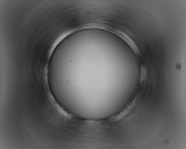 X0000102260812200808081359