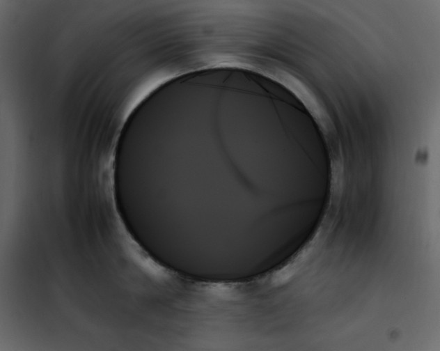 X0000102260814200808081359