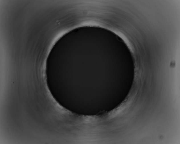 X0000102260815200808081359