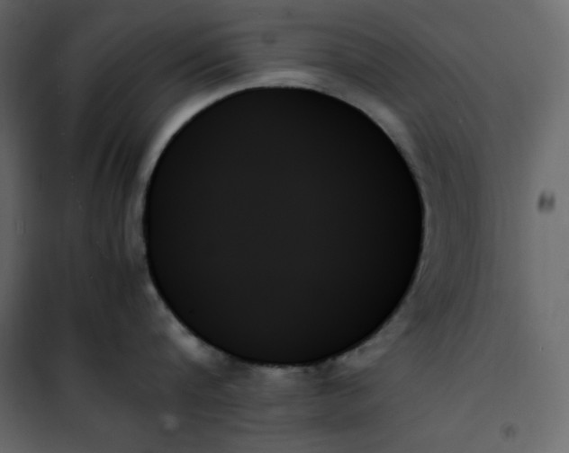 X0000102260816200808081359