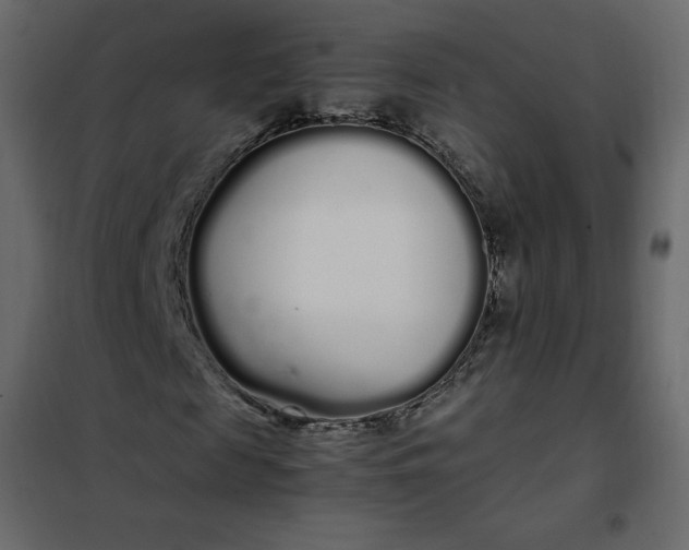 X0000102260817200808081358