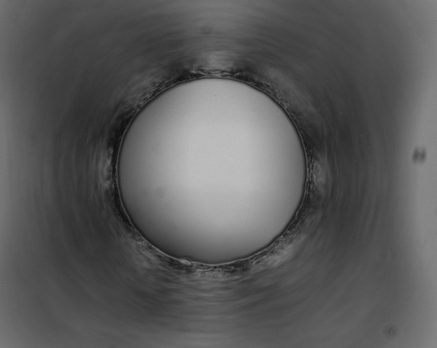 X0000102260818200808081358