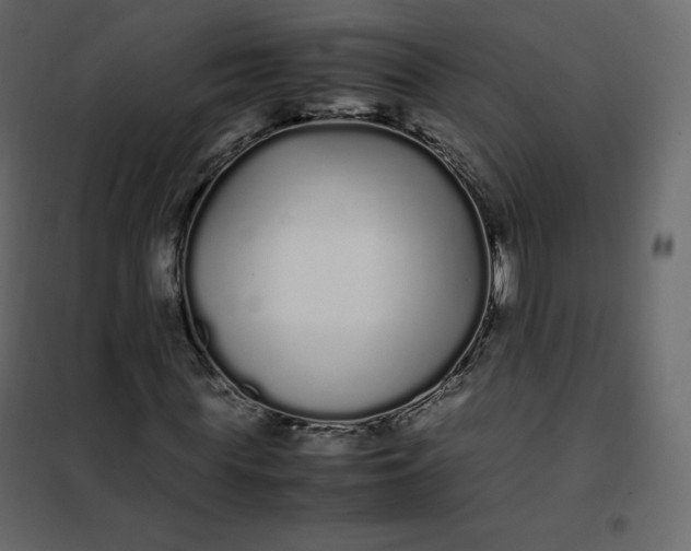 X0000102260819200808081358