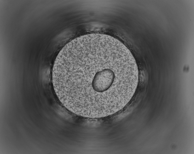 X0000102260820200808081358