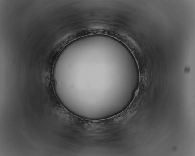 X0000102260821200808081358