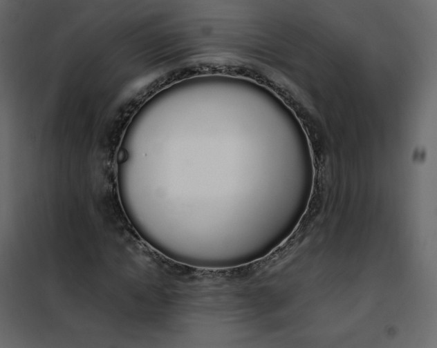 X0000102260822200808081358