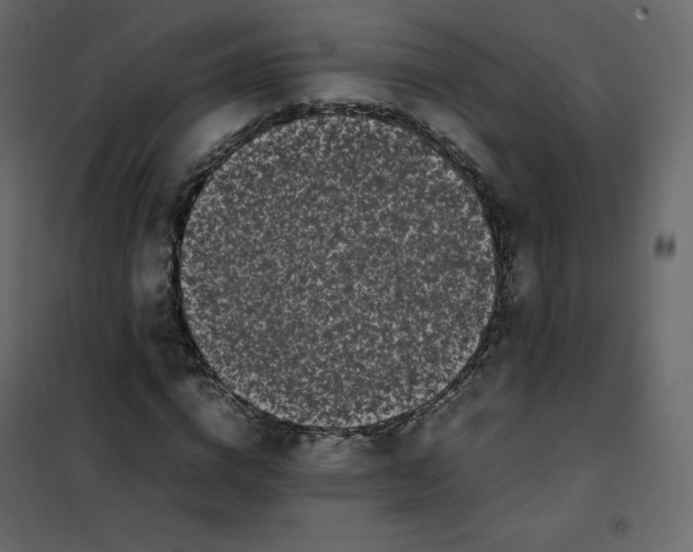 X0000102260824200808081358