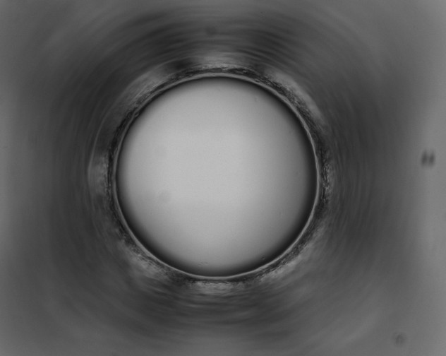 X0000102260825200808081358