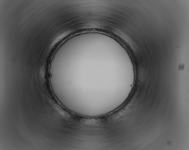 X0000102260826200808081358