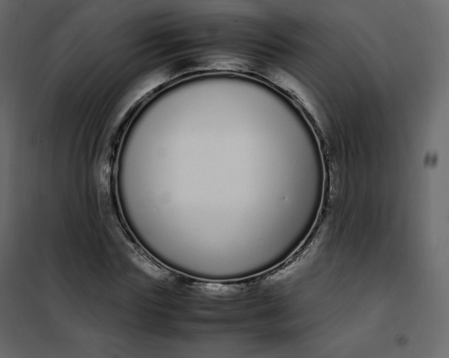 X0000102260827200808081358