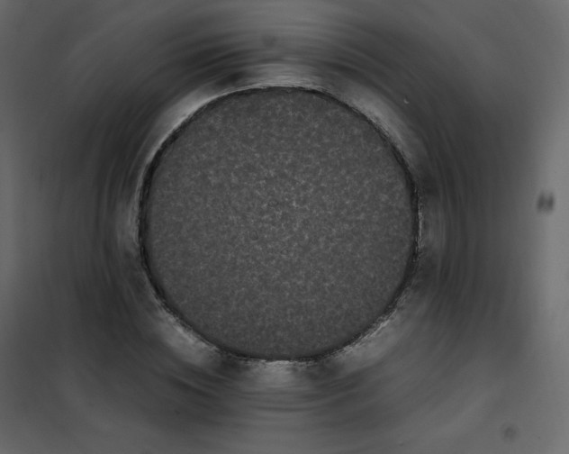 X0000102260828200808081358