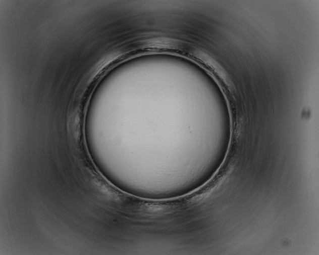 X0000102260829200808081358