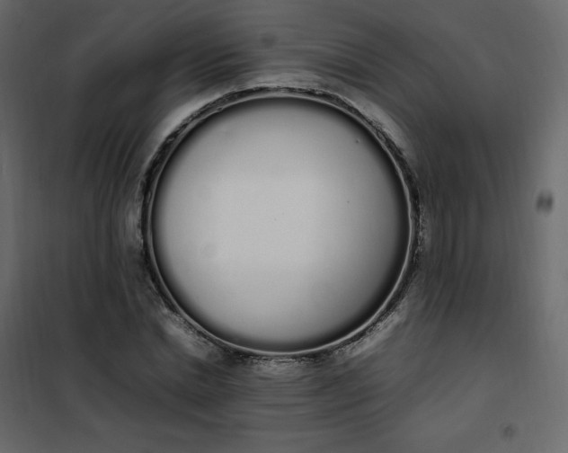 X0000102260830200808081358