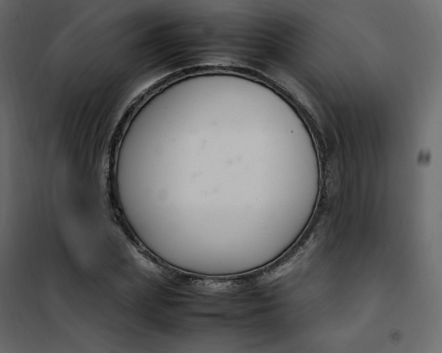 X0000102260831200808081358