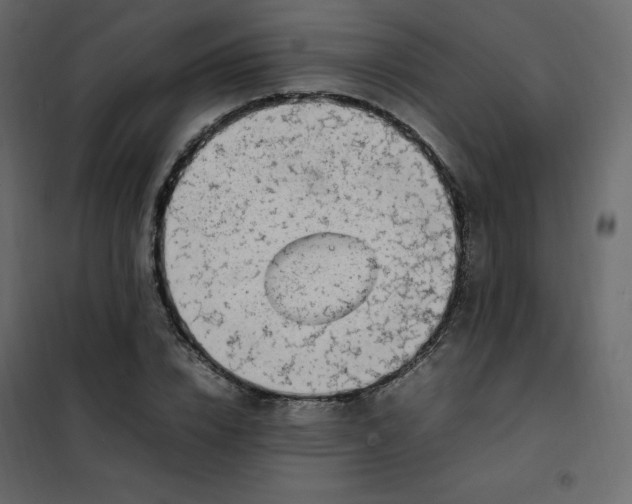 X0000102260832200808081358