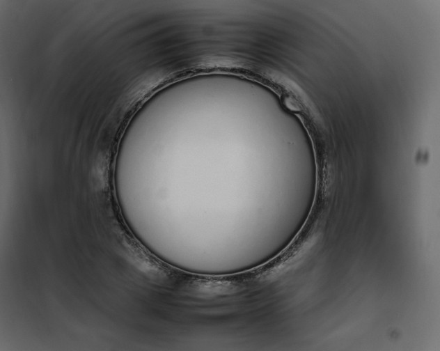 X0000102260833200808081358