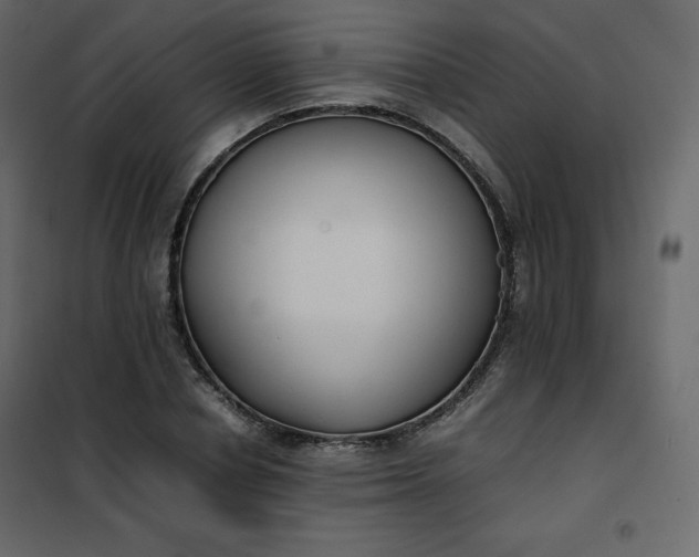 X0000102260834200808081358