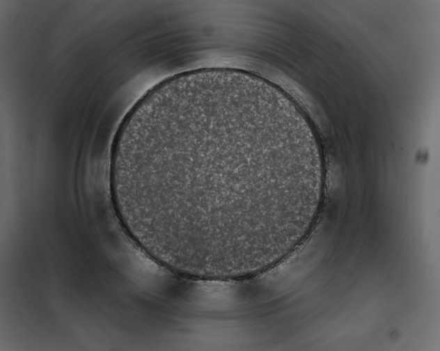 X0000102260836200808081358