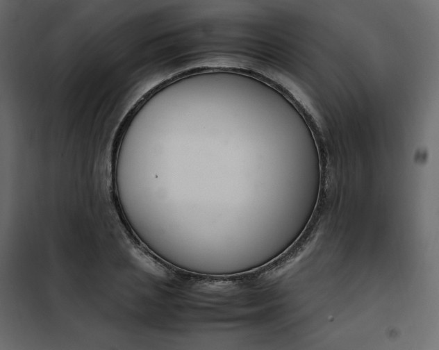 X0000102260837200808081358