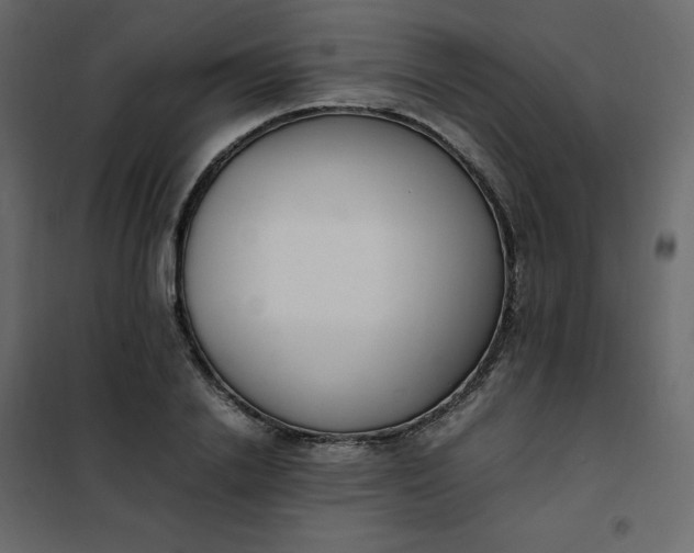 X0000102260838200808081358