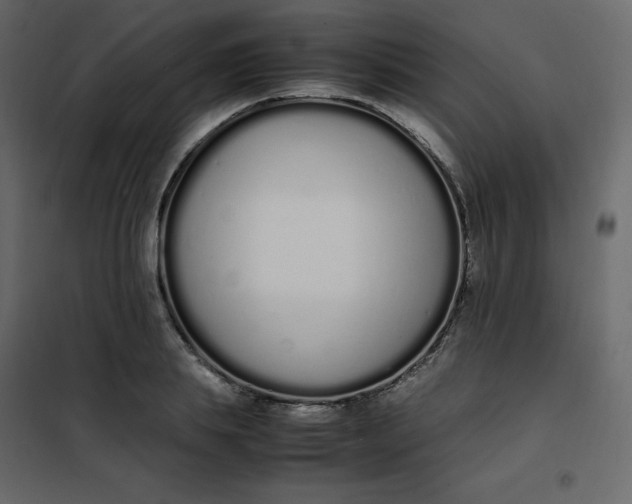 X0000102260839200808081358