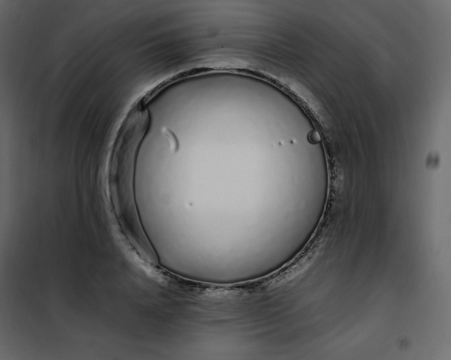 X0000102260840200808081359