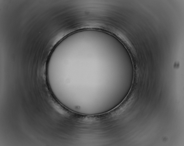 X0000102260842200808081359