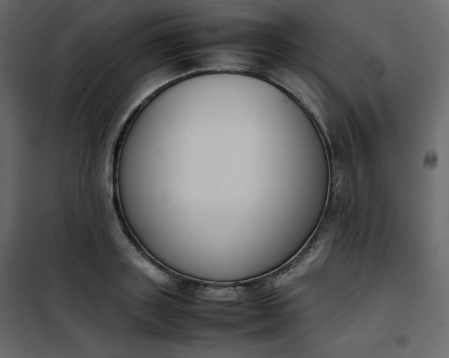 X0000102260843200808081359