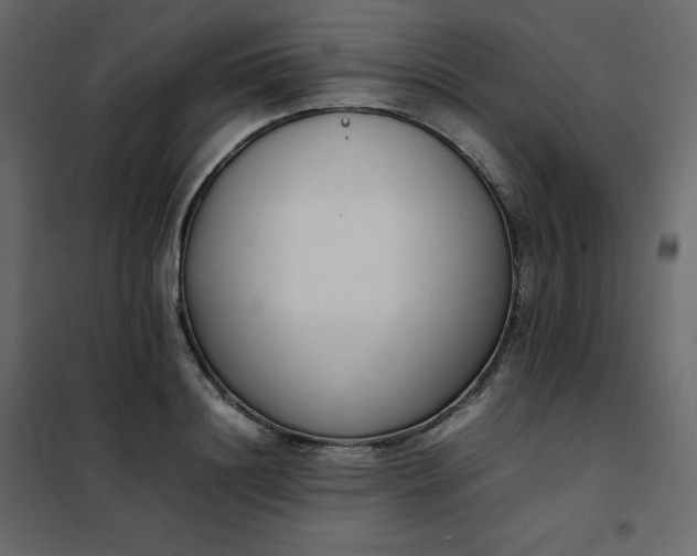 X0000102260844200808081359