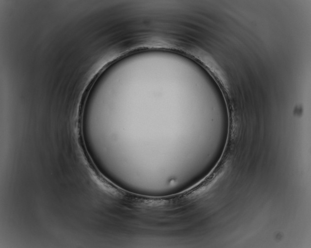 X0000102260845200808081359