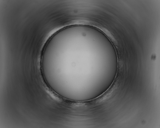 X0000102260846200808081359