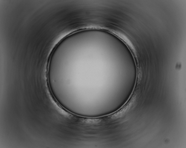 X0000102260847200808081359