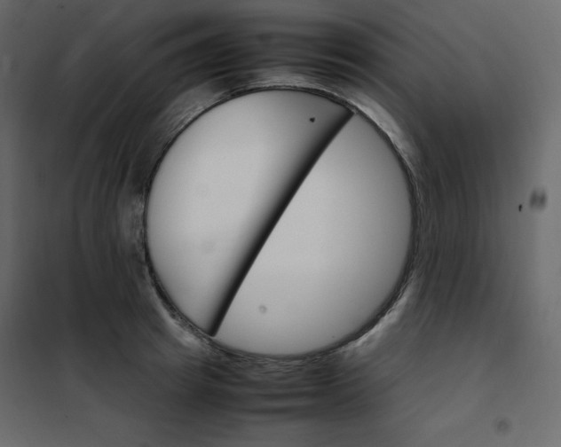 X0000102260849200808081359