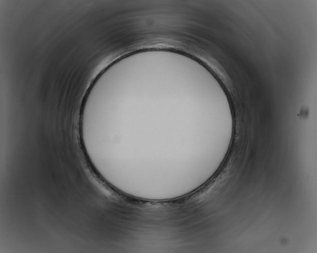 X0000102260850200808081359