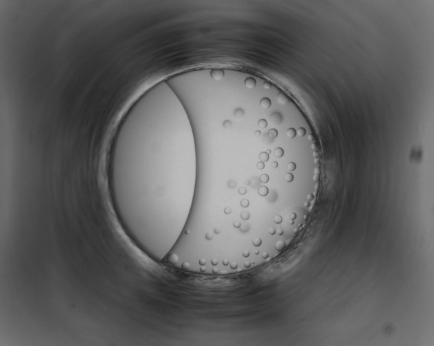 X0000102260851200808081359