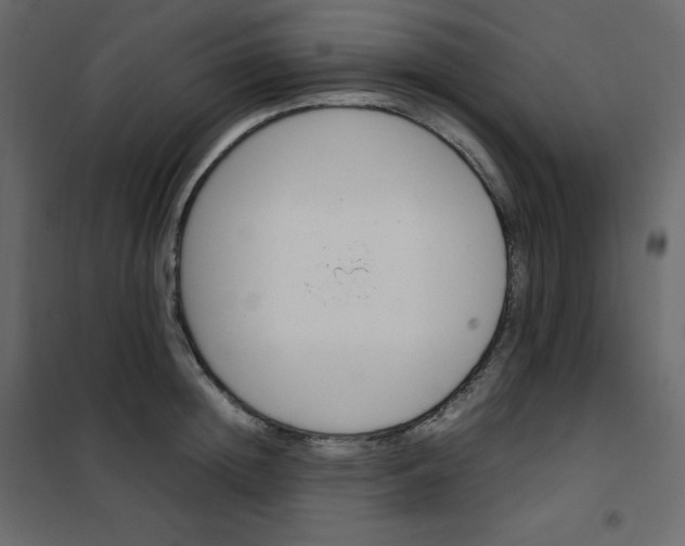 X0000102260852200808081359