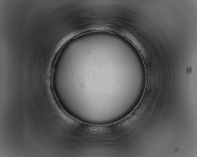 X0000102260853200808081359