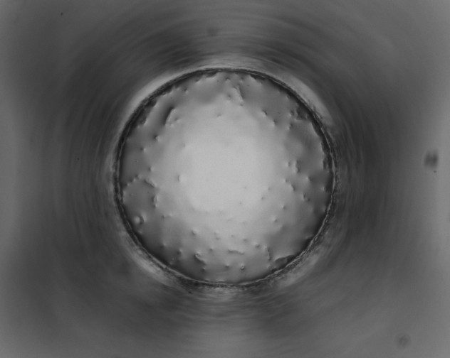 X0000102260854200808081359