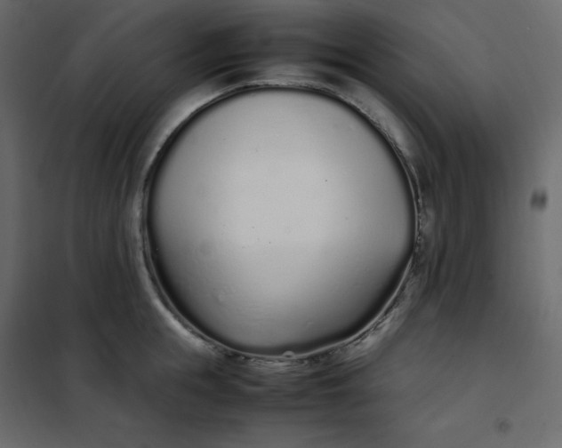 X0000102260855200808081359