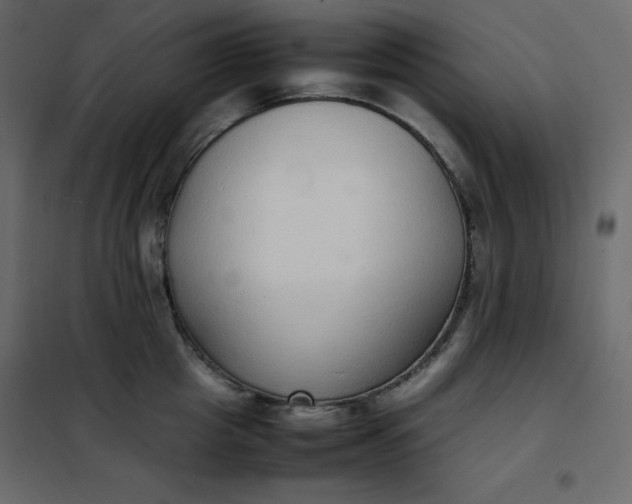 X0000102260857200808081359