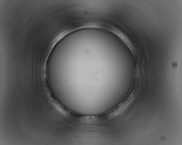 X0000102260858200808081359