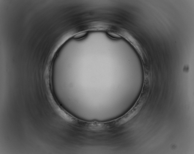 X0000102260859200808081359