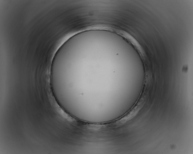 X0000102260860200808081359