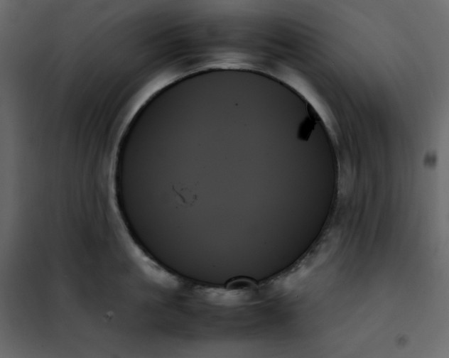 X0000102260861200808081359