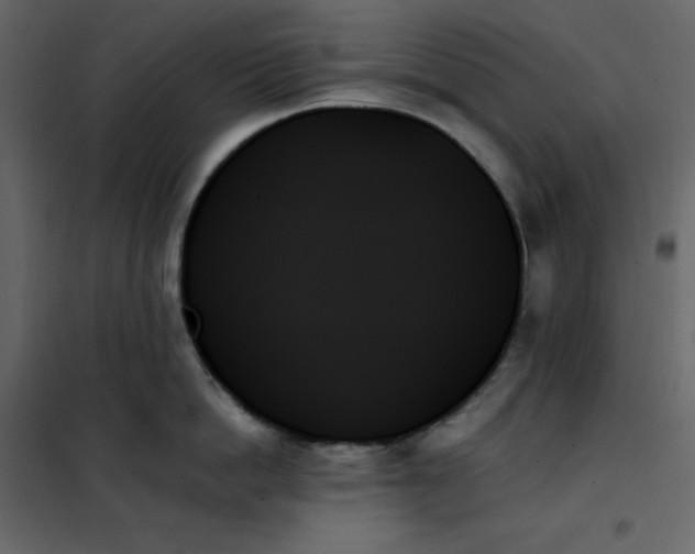 X0000102260862200808081359