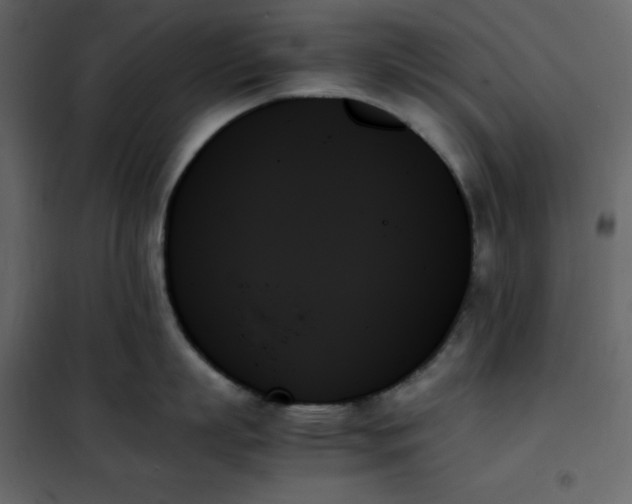 X0000102260863200808081359