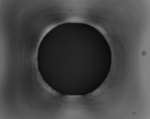 X0000102260864200808081359