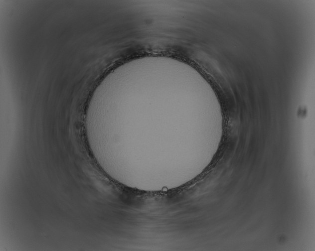 X0000102260865200808081358