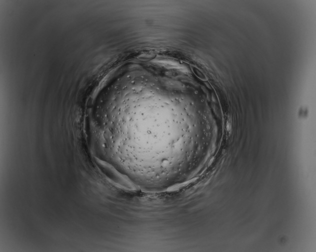 X0000102260867200808081358