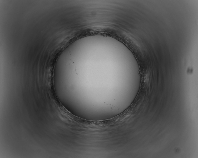 X0000102260868200808081358